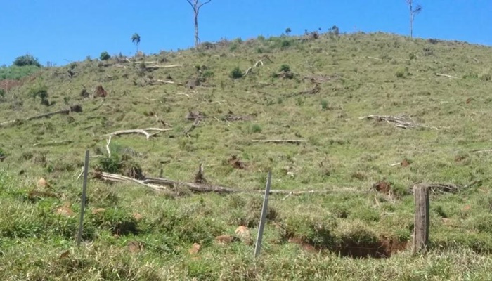 Laranjeiras - Agricultores são multados em R$ 421 mil por desmatamento